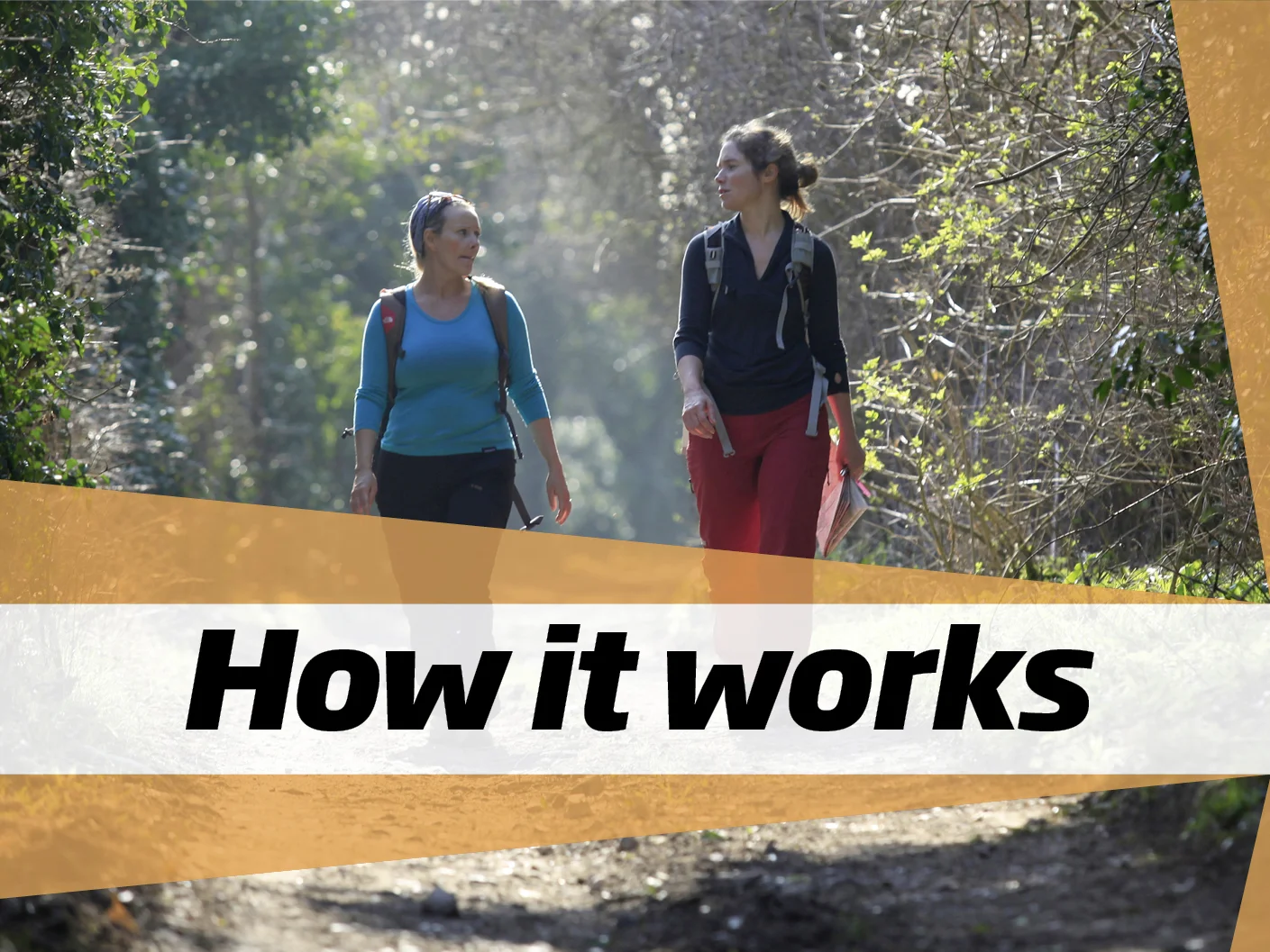 How it works — Walk 1000 Miles